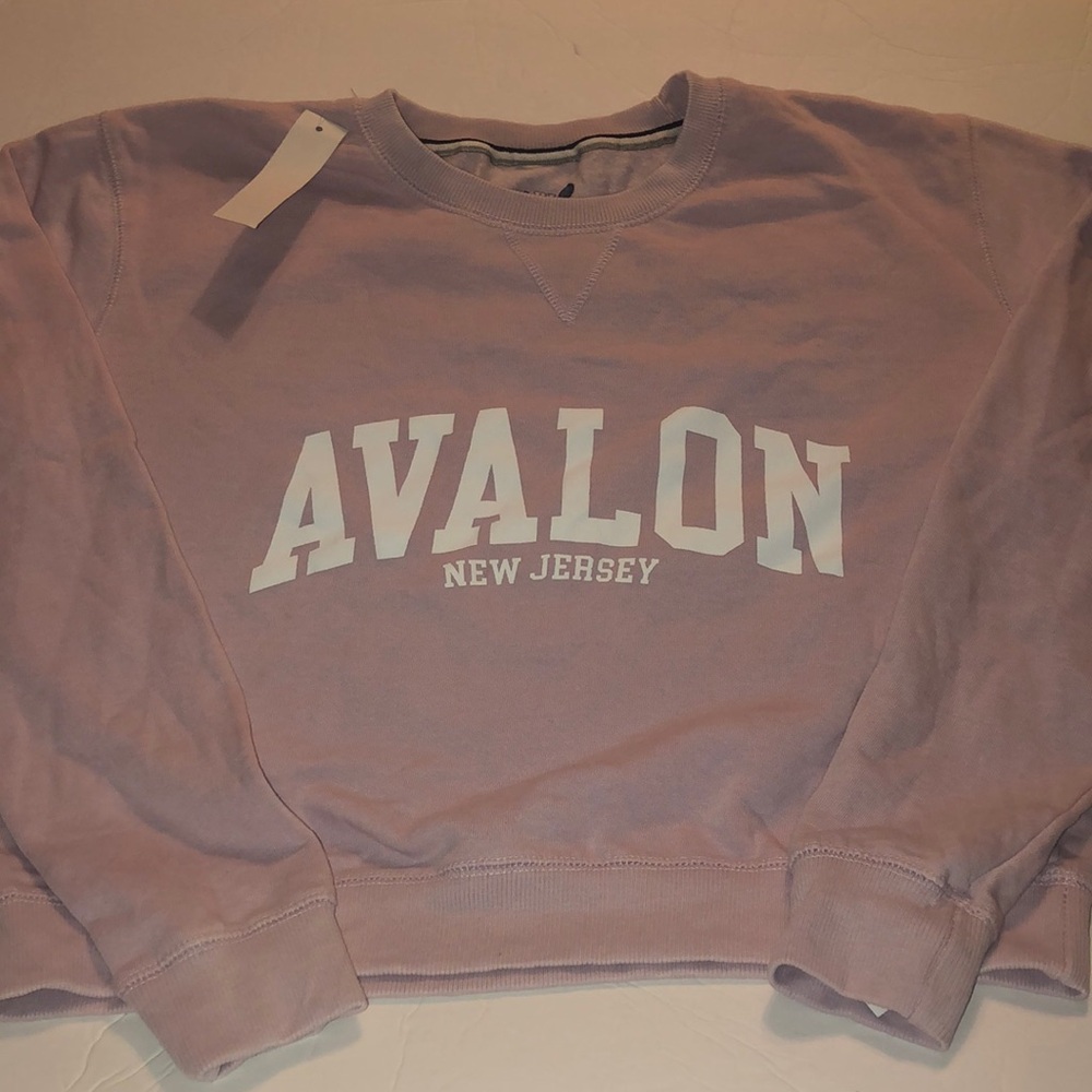 Avalon New Jersey Cropped Long Sleeve Crewneck Sweatshirt